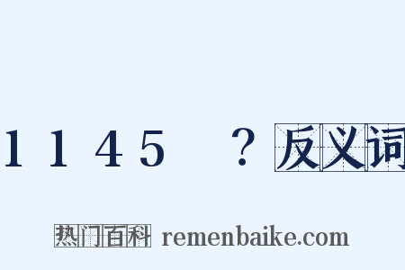 1145～？反义词是什么意思的图片